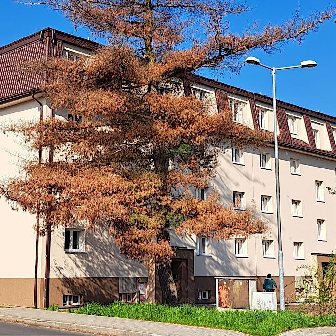 Hlasujte v soutěži pro naše projekty a rekonstrukce